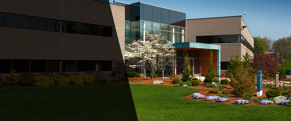 Windsor Mill Landscapers