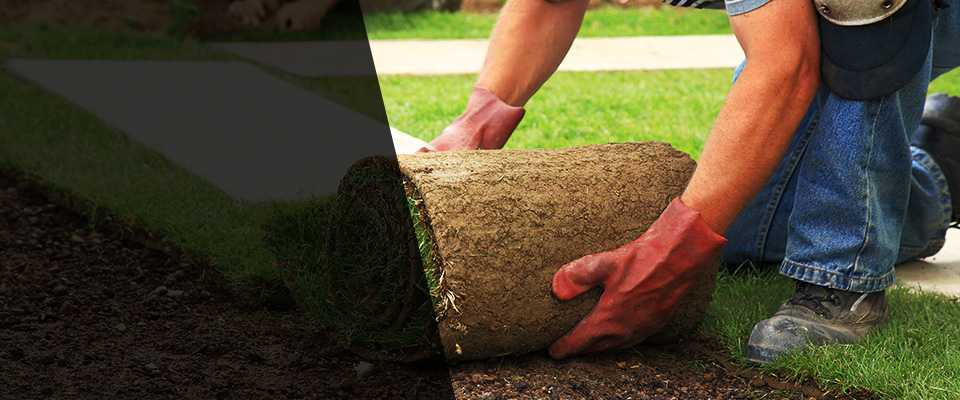 Windsor Mill Landscapers
